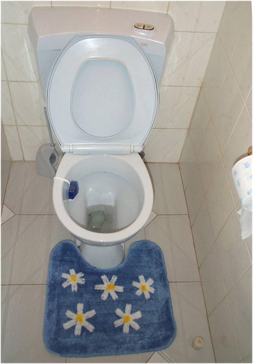Toilet5.jpg